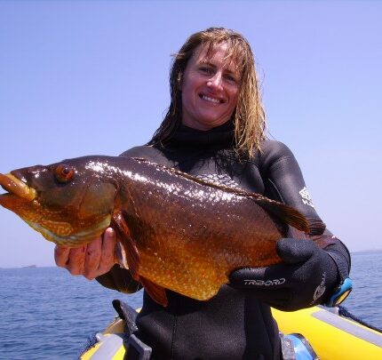 Prise d'une vieille Labrus bergylta (Glenan)