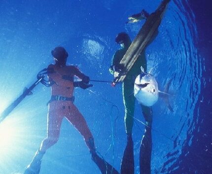 La pêche sous-marine un sport d'équipe