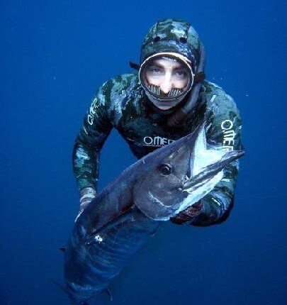 Wahoo (Brésil) Acanthocybium solandri