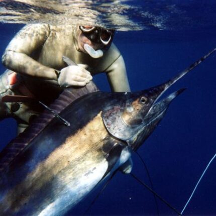 Prise d'un marlin bleu (Mayotte - Océan Indien)