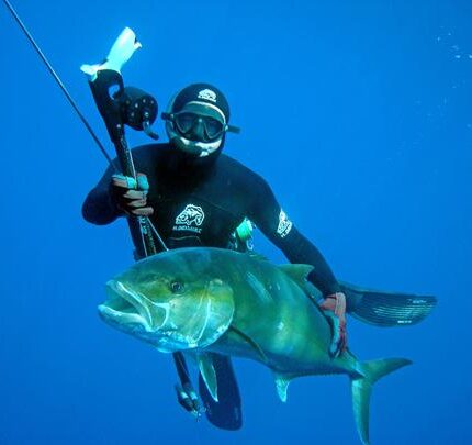 La chasse à la sériole Seriola dumerili (Méditerranée)