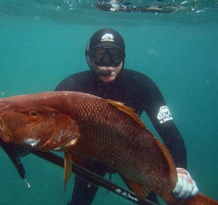 Carpe Rouge (Pacifique)