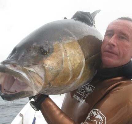Prise d'une sériole Seriola dumerili (Océan Pacifique)