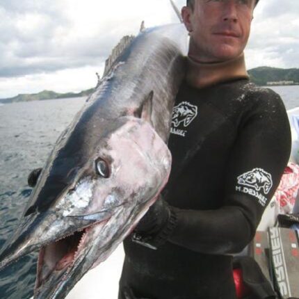 Prise d'un wahoo - détails