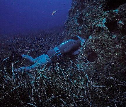 En pleine exploration