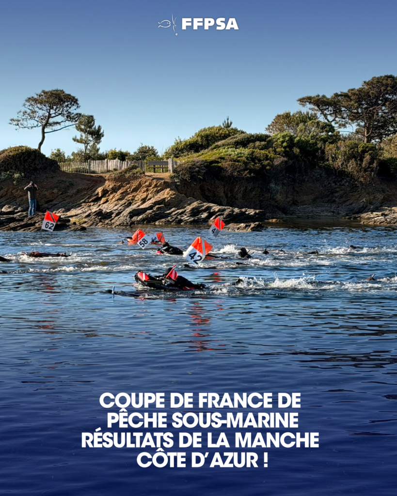 COUPE DE FRANCE DE PÊCHE SOUS-MARINE [25 AVRIL 2026] / RÉSULTATS DE LA ...